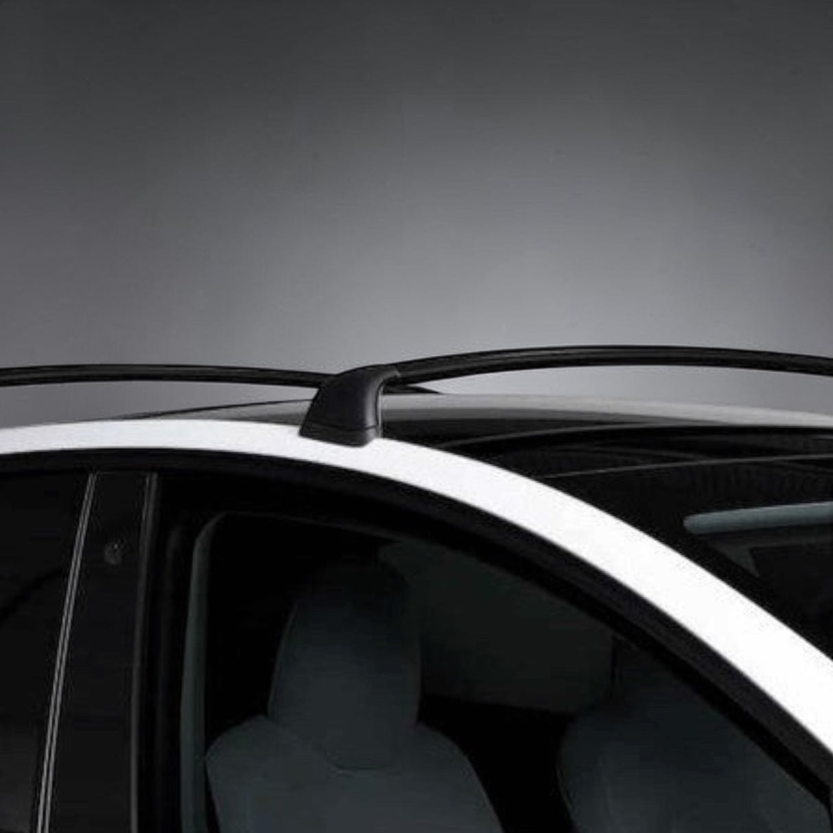 Takräcken - Passar till Tesla Model 3/Y