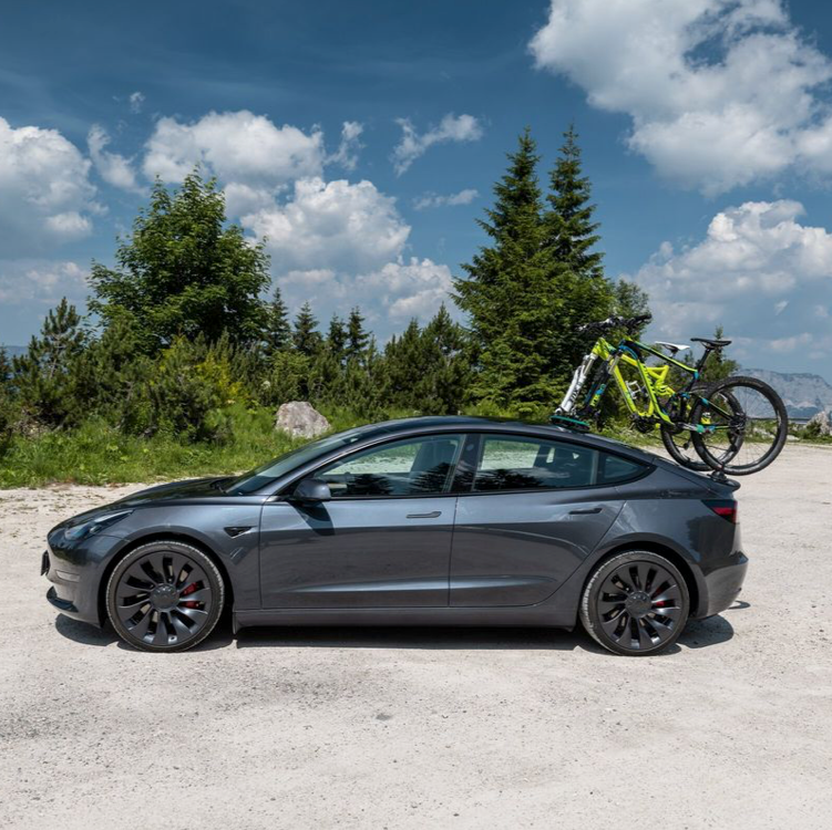 TreeFrog Pro 2 cykelhållare