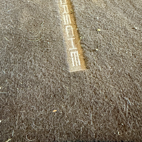 Före-bild av smutsig bilmatta med Porsche-logotyp före TurboClean dammsugare