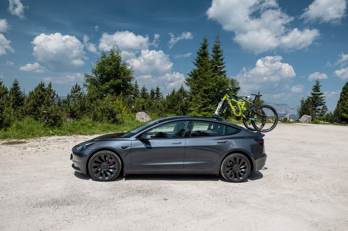 TreeFrog Elite cykelhållare