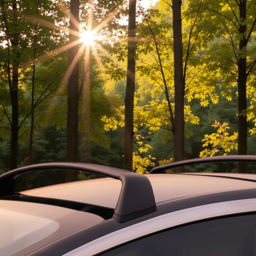 Svarta Tesla takräcken monterade på taket av en Tesla, med en skog och sol som bakgrund