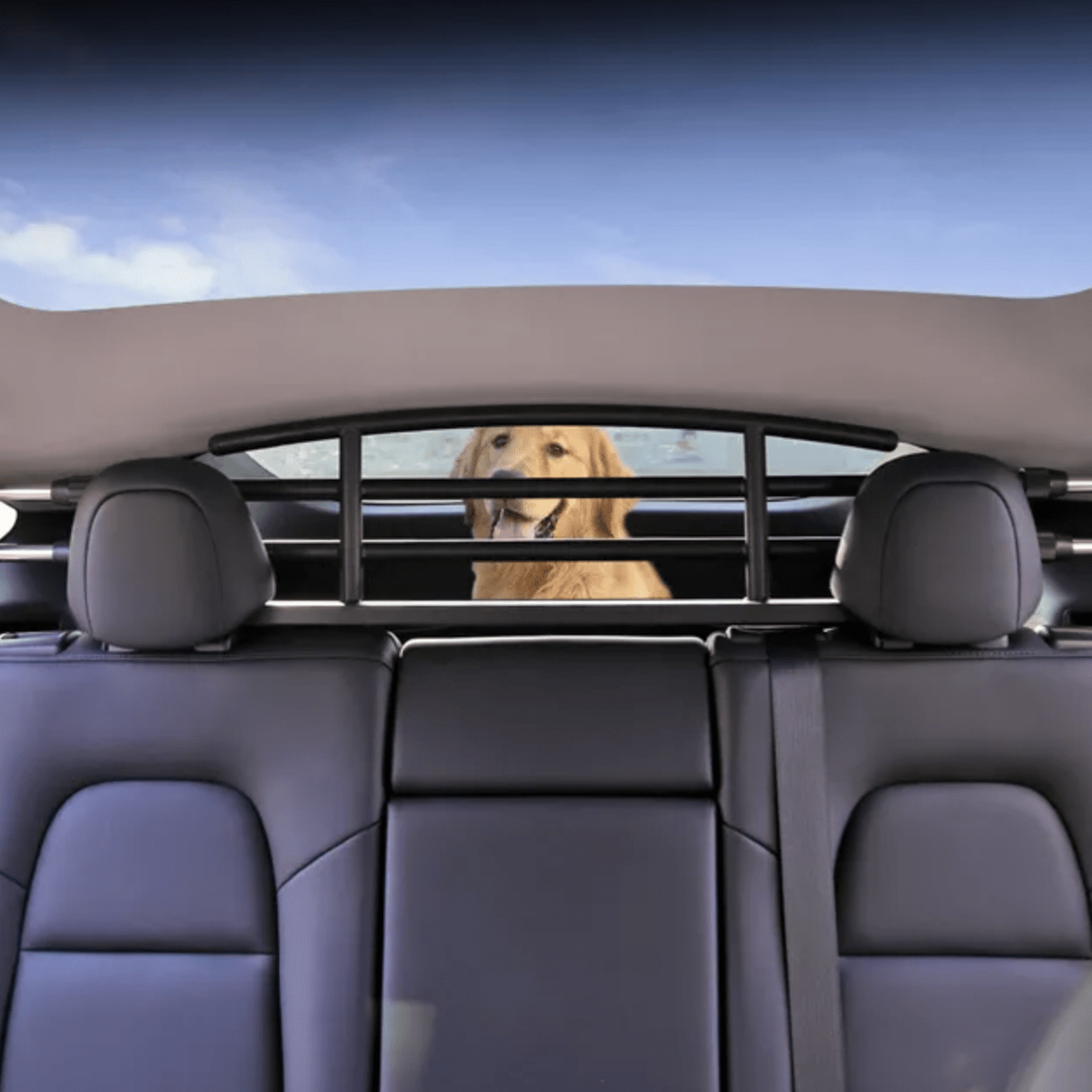 Hundgrind i Tesla Model Y med en glad hund i bagageutrymmet.