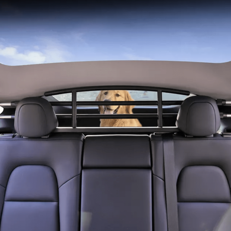 Hundgrind i bagageutrymmet på en Tesla Model Y med en golden retriever.