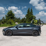 TreeFrog Pro 2 cykelhållare